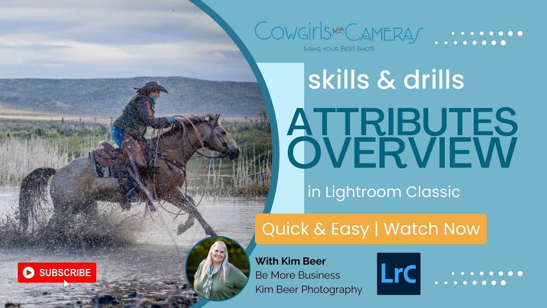 Understanding Attributes in Lightroom